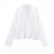Elegant Hollow Out Lace Polo Collar Blouse Women's Long Sleeve Crochet Geometric Pattern Boho Top For Summer Vacation White Lightweight Shirt