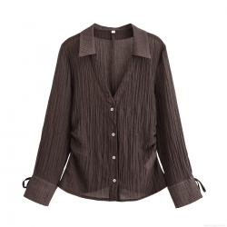 Women's Pleated Long Sleeve Shirt Lapel Single Breasted Semi-Transparent Crinkle Blouse Streetwear Casual Polyester Tops for Ladies Autumn Summer Office Wear