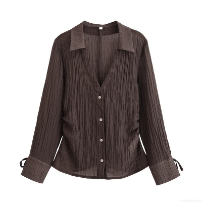 Women's Pleated Long Sleeve Shirt Lapel Single Breasted Semi-Transparent Crinkle Blouse Streetwear Casual Polyester Tops for Ladies Autumn Summer Office Wear