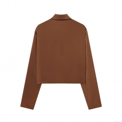 Women's Elegant Satin Polyester Cowl Neck Shirt Draped Long Sleeve Blouse Solid Color Silky Texture Pullover Tops For Daily Commute Office Fashion