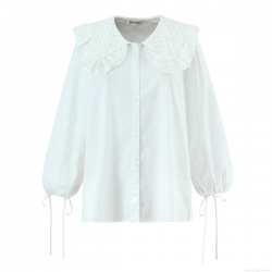 Women's Long Sleeve Shirt Polyester Cotton Blend Lace Hollow Out Embroidery Peter Pan Collar Lantern Sleeve Tie Cuff Button Down Casual Vintage European Style Tops